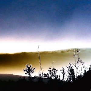 Foto­gra­fie­ren wie die Profis <br> Jo Wil­helm Arts <br> ab 09.05.2026