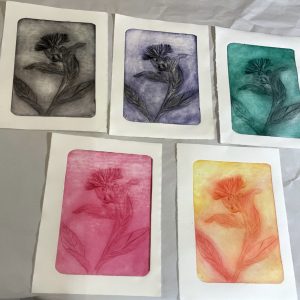 Kalt­na­del­ra­die­rung – Linien, Pflan­zen, Blatt­mu­ster <br> Ruth Luxen­ho­fer <br> ab 25.04.2026