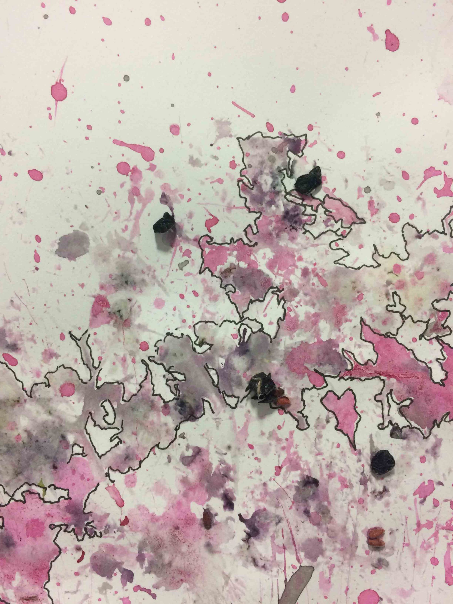 Einfach malen, experimentieren mit Farbe <br> Romana Menze-Kuhn <br> ab 01.09.2026